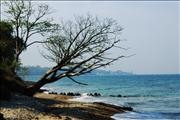 Nr Bembridge - Orton Effect